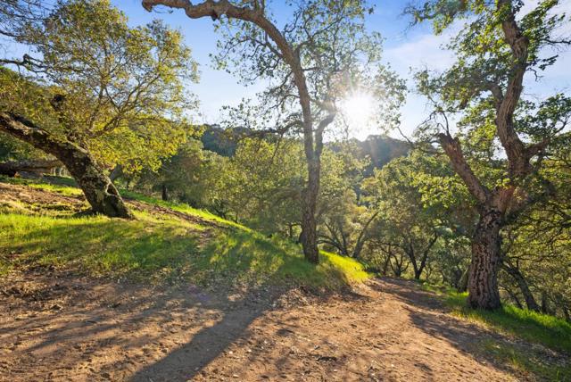 3533 Springhill Road, Lafayette CA: https://media.crmls.org/mediaz/afb553c1-5562-4446-9149-082b27cf6a17.jpg