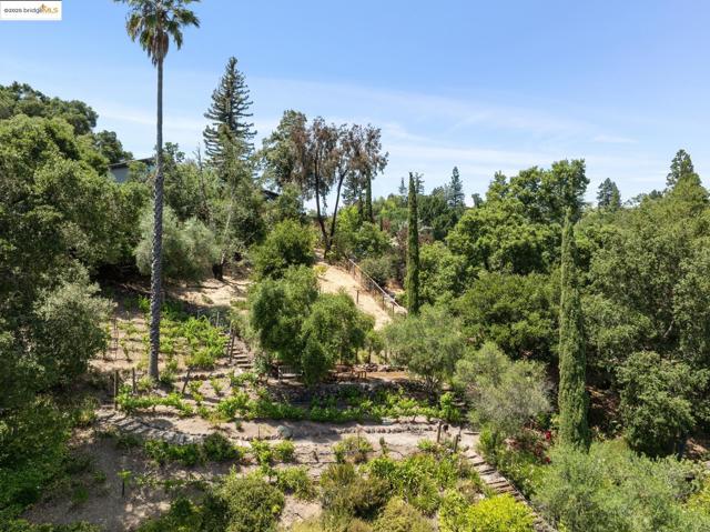 151 La Espiral, Orinda CA: https://media.crmls.org/mediaz/afbc08d6-c801-4660-8980-9fc600947cba.jpg