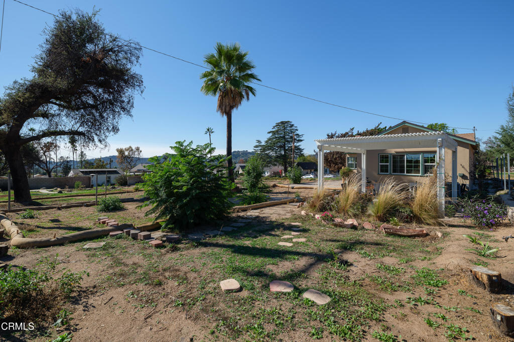 MLS #P1-24906 image #33