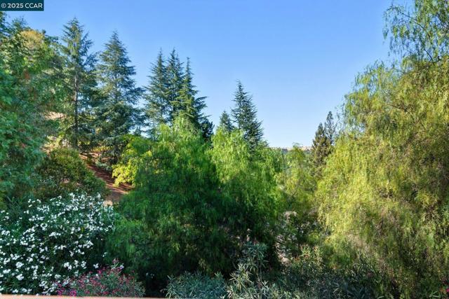 189 Rudgear Drive, Walnut Creek CA: https://media.crmls.org/mediaz/afbf6dd2-58f0-4d22-ae8e-390dabb5003e.jpg