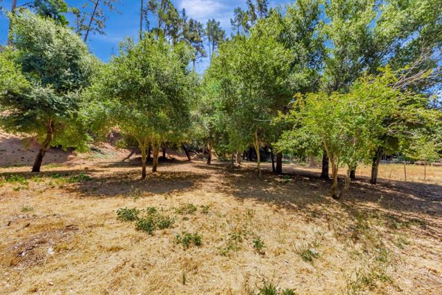 17 Muth Drive, Orinda CA: https://media.crmls.org/mediaz/afc58b46-1684-4641-8764-787cdf294c8a.jpg
