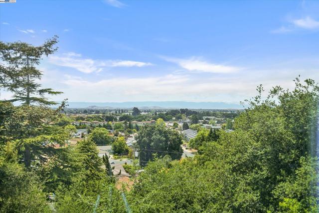 33039 Palmetto Dr, Union City CA: https://media.crmls.org/mediaz/afc84c5a-1c97-4c45-8ed8-5358ba033b59.jpg