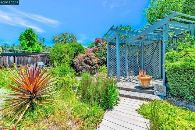 49 Terra Bella Dr, Walnut Creek CA: https://media.crmls.org/mediaz/afca9514-b5bd-43d6-aad8-09ff34328443.jpg
