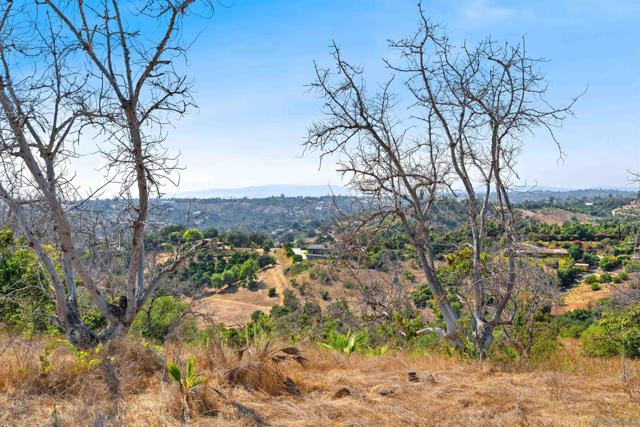 3240 Via Del Cielo, Fallbrook CA: https://media.crmls.org/mediaz/afcfd274-a337-4530-92c3-f8ce109c63e2.jpg