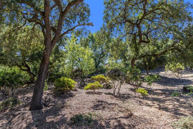 941 High Road, Woodside CA: https://media.crmls.org/mediaz/afd0e607-f2c3-44bf-9ec5-1b543cec3f07.jpg