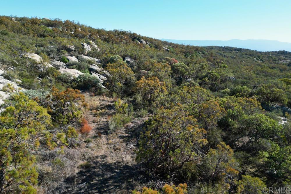 MLS #PTP2507282 image #38