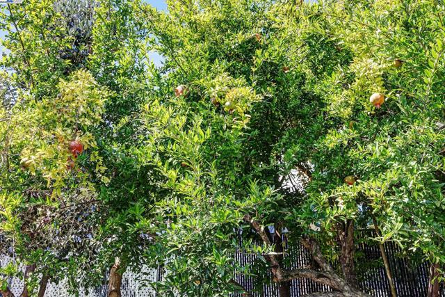 2309 High St, Oakland CA: https://media.crmls.org/mediaz/afd9bf5a-7516-4f5e-adb4-87c3c7c6fd32.jpg