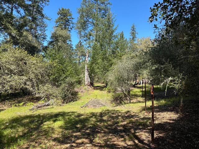 0 Hidden Glen Drive, Scotts Valley CA: https://media.crmls.org/mediaz/afdb485f-b59e-4390-a0cb-6fccfd43db2c.jpg