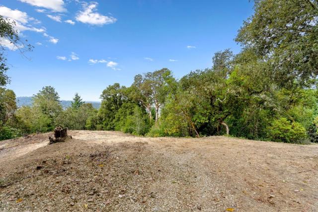 612 Nelson Road, Scotts Valley CA: https://media.crmls.org/mediaz/afe9dc65-245a-4679-9f7d-f8d74a5c0c0a.jpg
