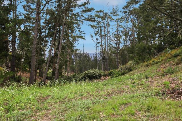 0 Lewis Avenue, El Granada CA: https://media.crmls.org/mediaz/afeca3e8-51f9-4539-8d46-38f88d2257c9.jpg