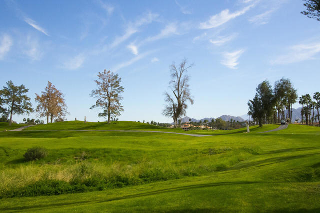 705 Vista Lago Circle N, Palm Desert, CA 92211