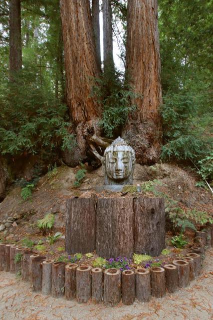 16770 Redwood Lodge Road, Los Gatos CA: https://media.crmls.org/mediaz/aff6087b-f858-4654-a299-32e58bcad83f.jpg