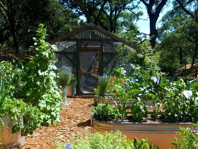 0 Albion Avenue, Woodside CA: https://media.crmls.org/mediaz/aff94082-e69a-40ae-a58d-b8d97d41e5ec.jpg