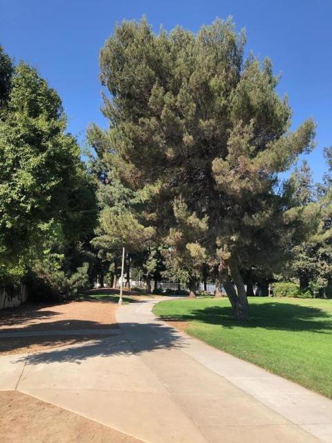 178 Sunwood Meadows Place, San Jose CA: https://media.crmls.org/mediaz/b00722cc-4ad4-4d27-a9ff-f3c4b16bd387.jpg