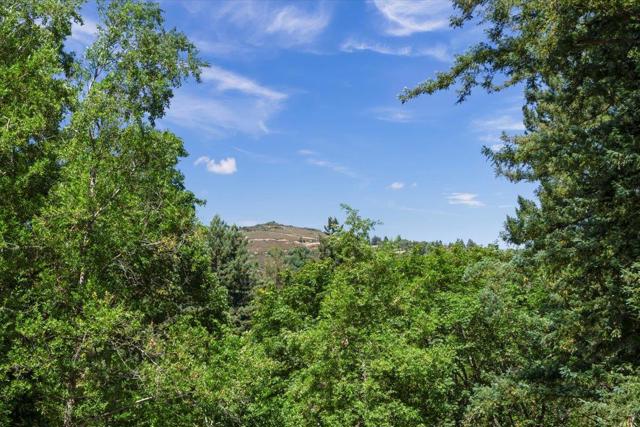 20246 Gist Road, Los Gatos CA: https://media.crmls.org/mediaz/b013bf18-b09b-4e09-a9f2-1a5e4a1fb8ee.jpg