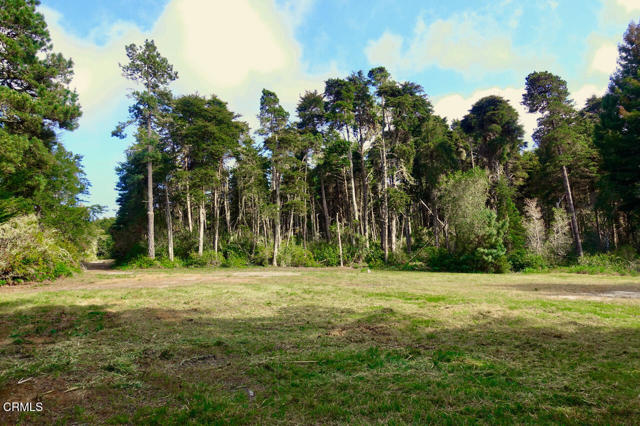 Detail Gallery Image 11 of 16 For 43535 Comptche Ukiah Rd, Mendocino,  CA 95460 - – Beds | – Baths