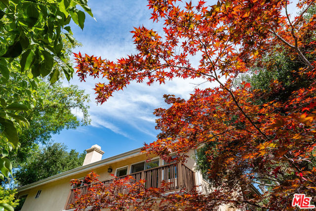 23040 Blue Bird Drive, Calabasas CA: https://media.crmls.org/mediaz/b01dd25b-e64f-4e9b-96f5-a74d376e8927.jpg