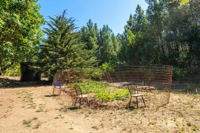 924 Croy Ridge Road, Gilroy CA: https://media.crmls.org/mediaz/b02cfb39-19d7-4d24-a74b-74c6cd51c329.jpg