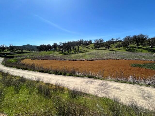 355 Pine Ridge Road, Lakeport CA: https://media.crmls.org/mediaz/b035a597-194f-4145-9018-4d1d87a9159f.jpg