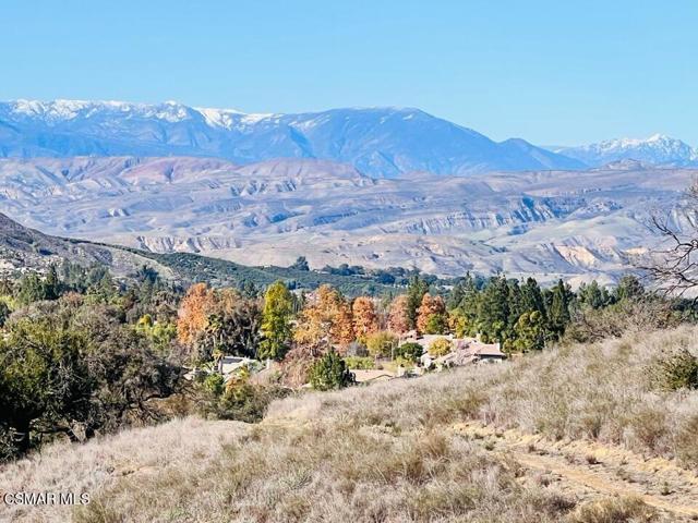 snow peak and colorful trees Jan 2022