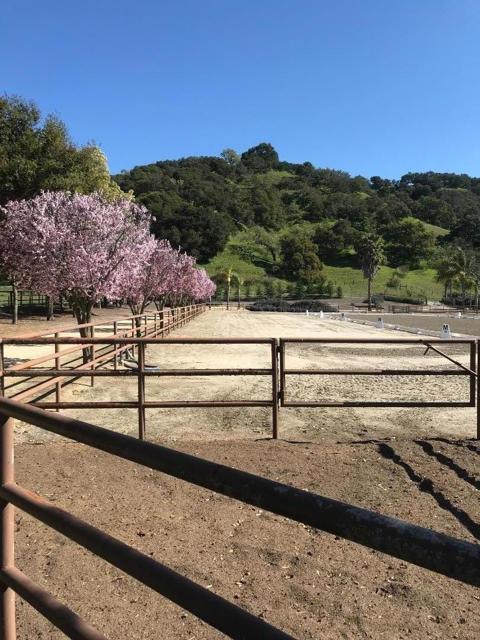 529 Corral De Tierra Road, Salinas CA: https://media.crmls.org/mediaz/b045b04a-a1bc-42be-a567-7dc55daf28b8.jpg