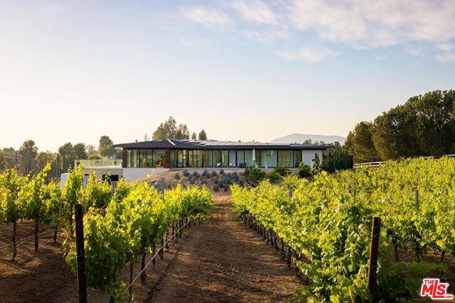 36453 Via El Pais Bonita, Temecula CA: https://media.crmls.org/mediaz/b04a54e7-601f-4473-ac67-9f2cc03b2e5d.jpg