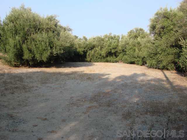 1252 Navel Place