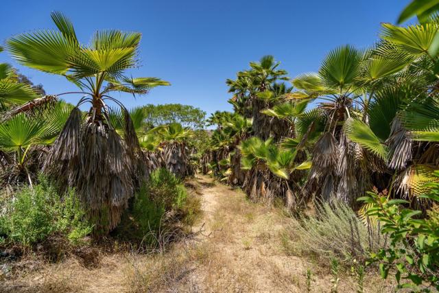 0 Ranger Road, Fallbrook CA: https://media.crmls.org/mediaz/b063d19c-040d-4207-8334-ada355ee8d1d.jpg