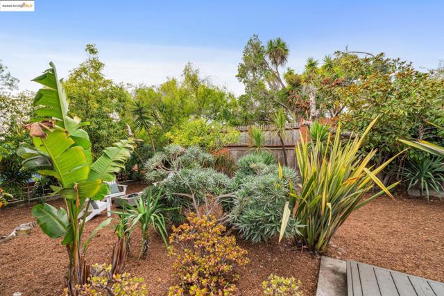 63 Eureka Ave, Kensington CA: https://media.crmls.org/mediaz/b07380b0-bb21-4e47-bd99-00cd83e7cca3.jpg
