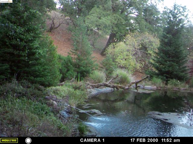 Image 10 of 11 For 39305 Pine Mountain Road