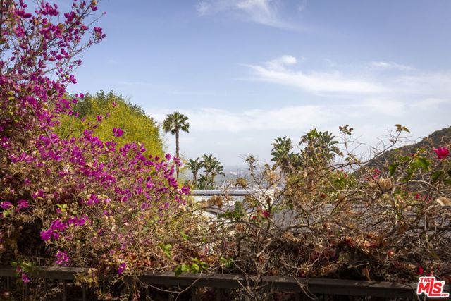 2500 Carman Crest Drive, Los Angeles CA: https://media.crmls.org/mediaz/b08211af-9012-485e-8fe2-bb90663dcaa2.jpg
