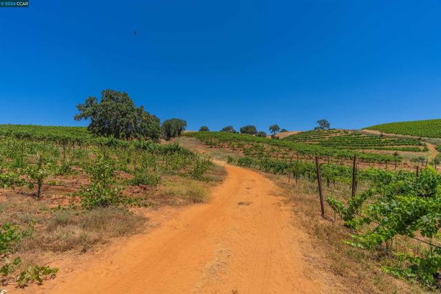 Image 6 of 14 For 20550 Ostrom Rd.