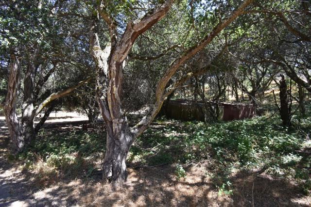 0 Alexander Lane, San Juan Bautista CA: https://media.crmls.org/mediaz/b0912d40-0e94-4bab-9c9c-ea073d52ac35.jpg