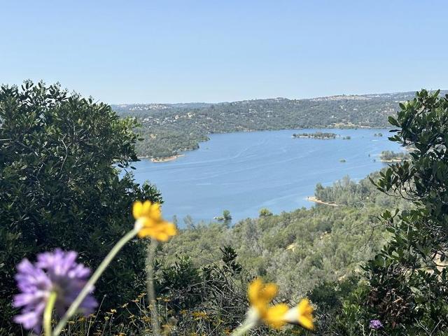 1119 Montauk Vista,  CA: https://media.crmls.org/mediaz/b0920b39-82a1-4dd6-a72a-7a361452b4ba.jpg