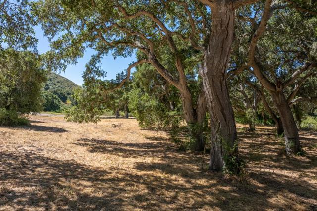 4 Goodrich Trail (Lot E13), Carmel CA: https://media.crmls.org/mediaz/b096e449-bda5-4cf5-ab6e-f97dae6f59f3.jpg