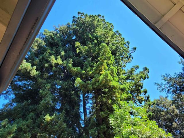 16885 Laurel Road, Los Gatos CA: https://media.crmls.org/mediaz/b0983b9e-ddcf-4373-92d3-6428897720df.jpg