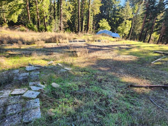 894 Stewart Street, Boulder Creek CA: https://media.crmls.org/mediaz/b09977bd-5d9c-4c3b-93be-cdd28c7f914a.jpg