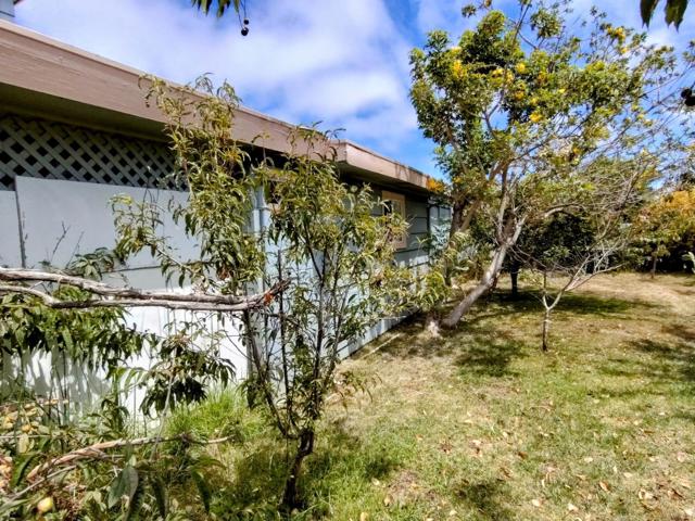 230 Paloma Avenue, Salinas CA: https://media.crmls.org/mediaz/b09d6d54-d121-47d4-9124-793c9e9b5a6d.jpg