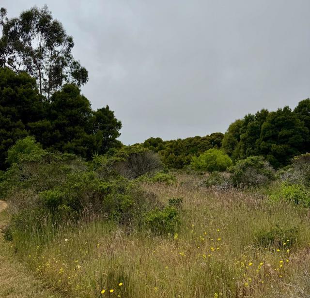 0 Bonita, Half Moon Bay CA: https://media.crmls.org/mediaz/b0a32b06-d417-4f4c-b351-21b877b9828c.jpg
