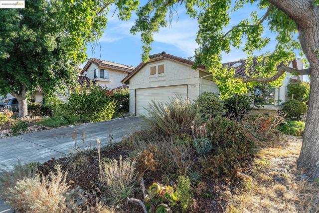 2513 Brazil Dr, Antioch CA: https://media.crmls.org/mediaz/b0a40f8d-66df-4c5b-86e9-2dcec82468b3.jpg