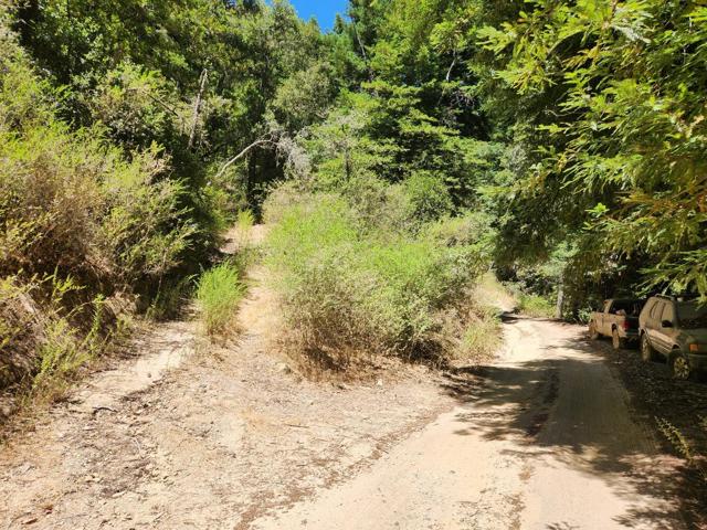 510 East Road, Boulder Creek CA: https://media.crmls.org/mediaz/b0a751f4-d9bc-45e0-9e00-8e78f4880678.jpg