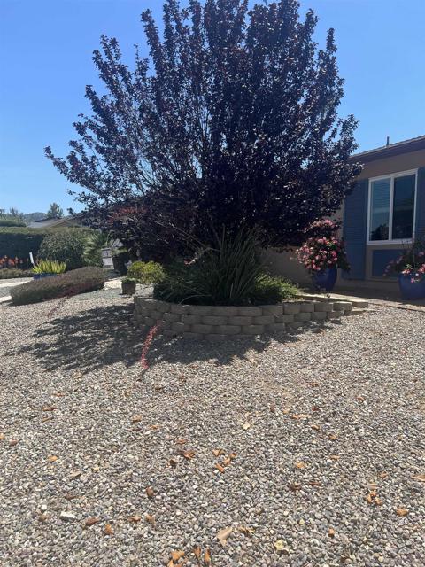 16495 Roca Dr, San Diego CA: https://media.crmls.org/mediaz/b0a79865-7dc3-4259-b4cf-780ab070eab7.jpg