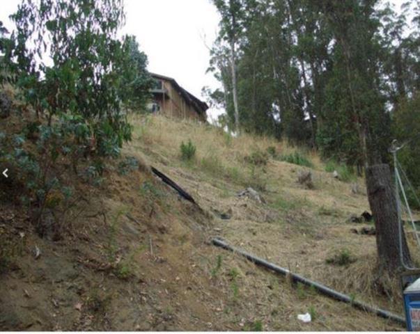 MLS #ML82026086 image #6