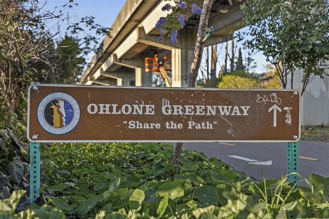 Image 47 of 49 For 1447 Kains Ave