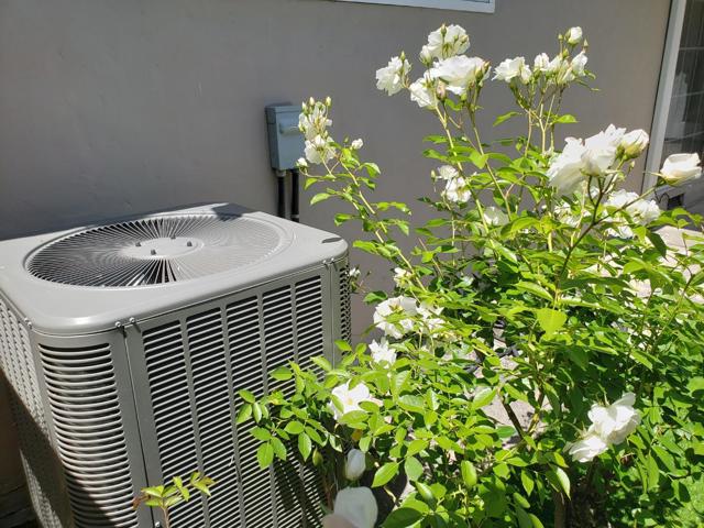 528 Moraga, Orinda CA: https://media.crmls.org/mediaz/b0ba73ff-dd88-4a4b-8d69-301d58ae9612.jpg