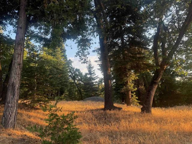 Detail Gallery Image 6 of 47 For 10 Acres Greenfield Way, Palomar Mountain,  CA 92060 - – Beds | – Baths