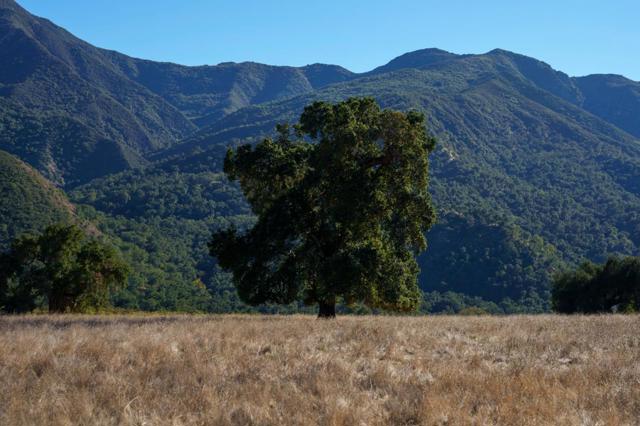 47275 Arroyo Seco Road, Greenfield CA: https://media.crmls.org/mediaz/b0c7bb14-61d3-4296-b2f4-7cae0964dca4.jpg