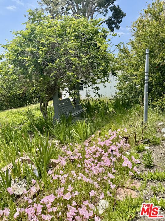 Drew Fenton | 27555 Pacific Coast Highway Malibu CA | MLS: 7292558