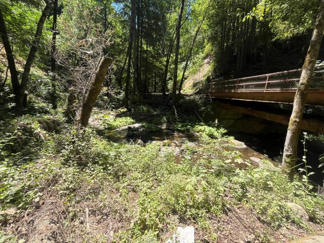 0 Deer Creek (Lot 21), Boulder Creek CA: https://media.crmls.org/mediaz/b0ce5e62-69af-4e2c-b5df-83b555c13181.jpg