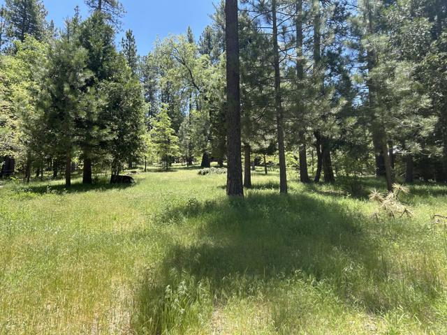 0 Tollgate Road, Idyllwild CA: https://media.crmls.org/mediaz/b0d3caa5-9a13-4f03-974b-75974f3a6a7f.jpg